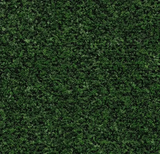Bestel Nu Coral Brush 5708 Advocado Green 205 cm breed