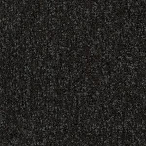 Coral Classic 4730 Raven Black 155 cm breed Shop Nu