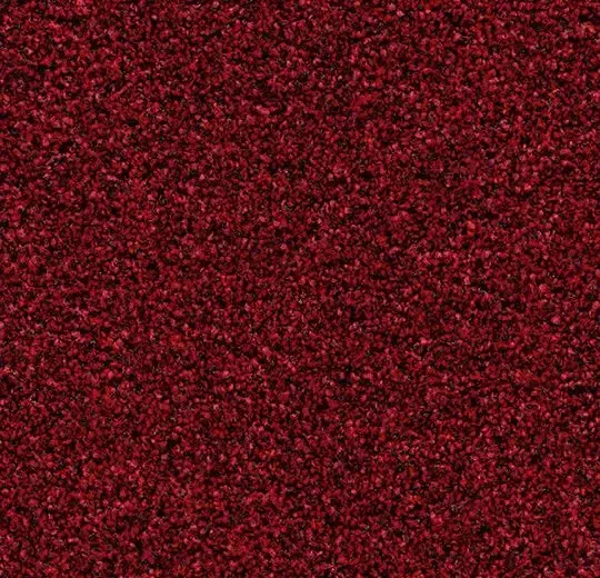 Lage Kosten Coral Bright 2603 Vivid Earth - 90 cm breed