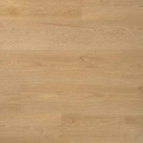 Betrouwbaar Douwes Dekker - Ambitieus - Riante plank boterkoek Ultramat 10517 (Plak PVC)