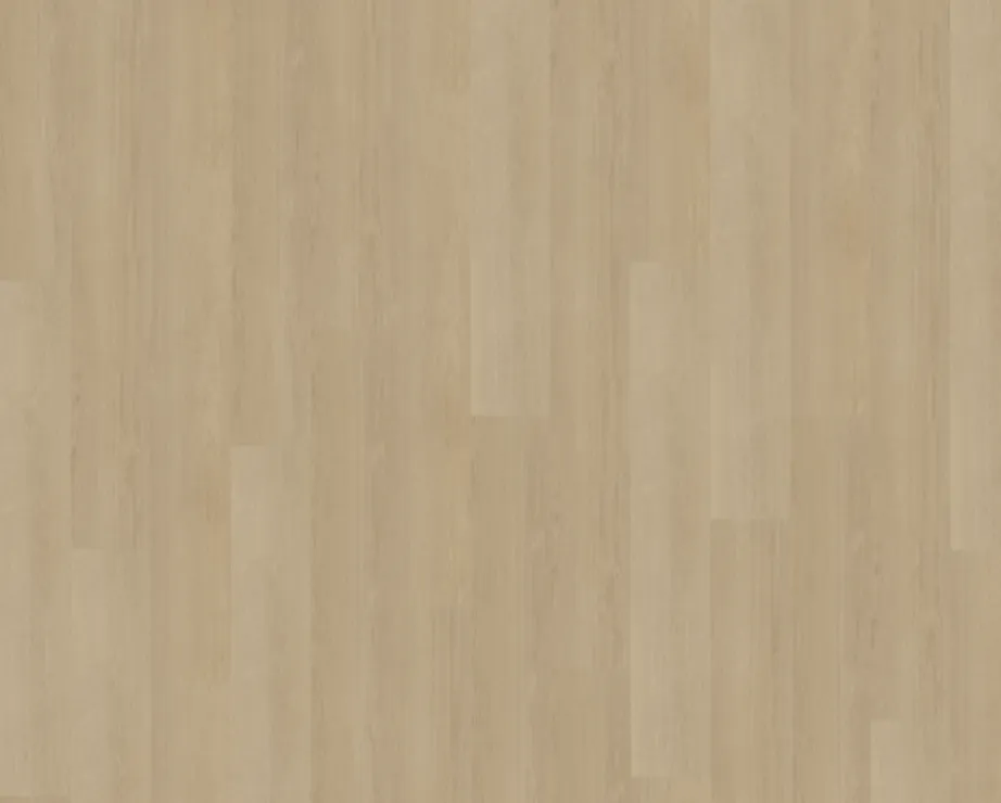 Speciale Aanbieding Belakos - Futuro 510 (Plak PVC)