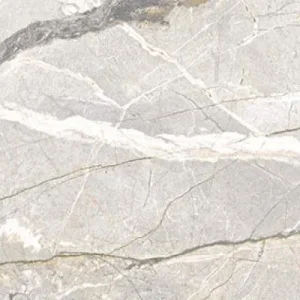 Lage Kosten Flaviker SUPREME HEDONISM Grijs glans 60X120cm ( FLP0017241 )