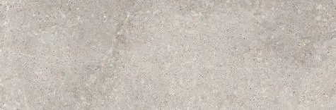 Alleen Vandaag Sphinx TERRAZZO Grijs mat 19.8X59.8cm ( 003011MC )