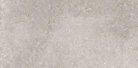Gereduceerde Prijs Sphinx TERRAZZO Grijs mat 29.8X59.8cm ( 003011BK )