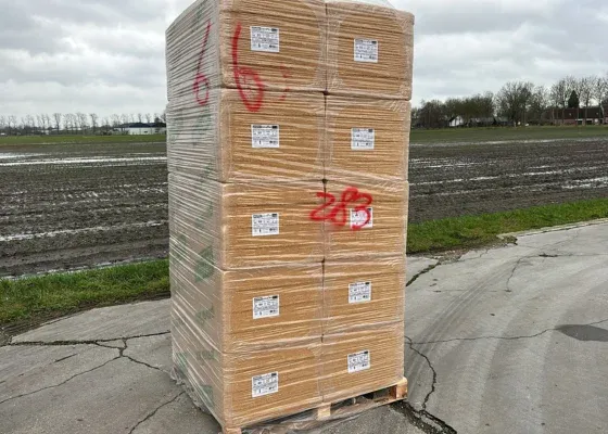 Finale Uitverkoop Outletpartij 283 Pavaflex houtvezelisolatie Rd 1,55 1220x575x60mm 80st (=56,10m²)