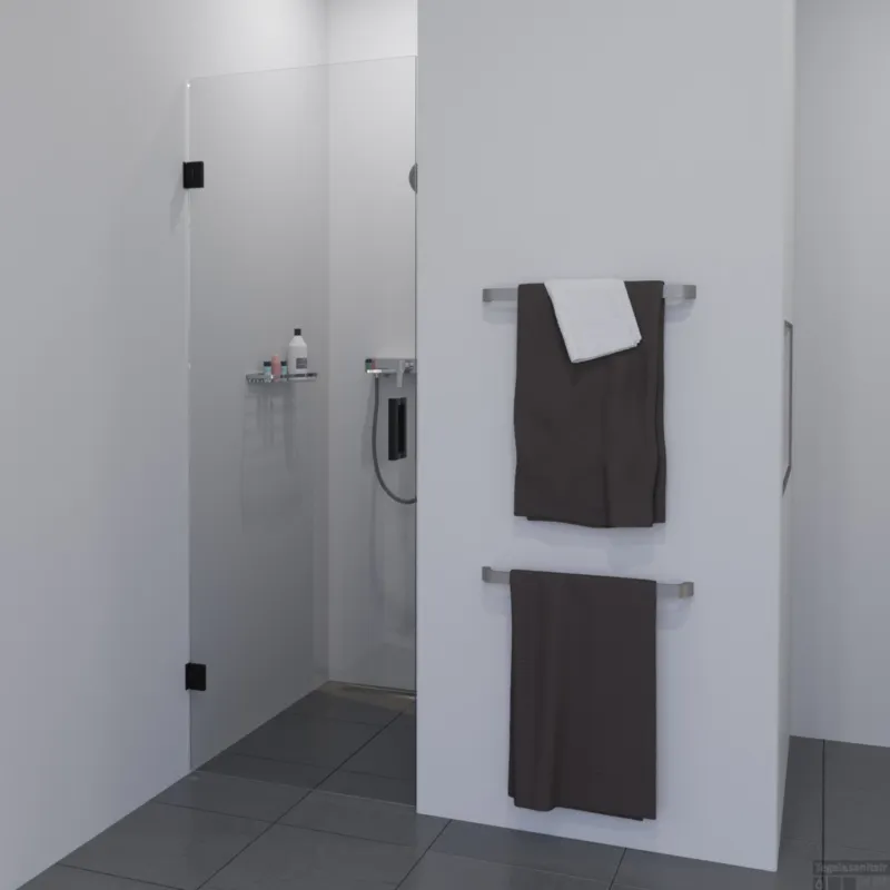 BWS Douchedeur Medena Profielloos 70x200cm Scharnieren Zwart Nisdeur Korting