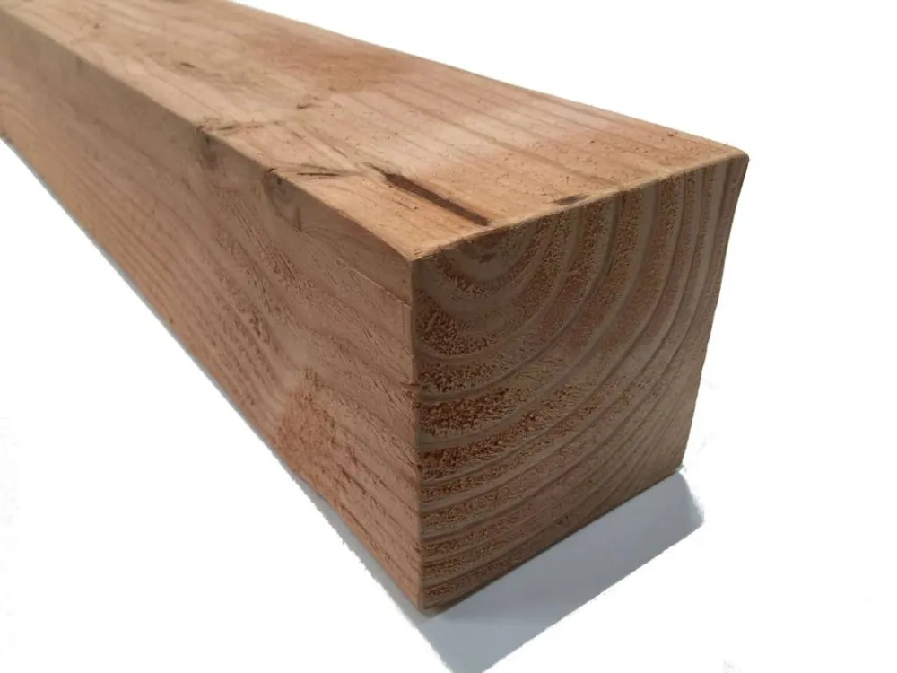 Dagaanbieding Douglas Palen 10x10 (100x100 mm) - 400 cm