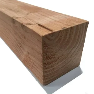 Douglas Palen 10x10 (100x100 mm) - 500 cm Beste Prijs