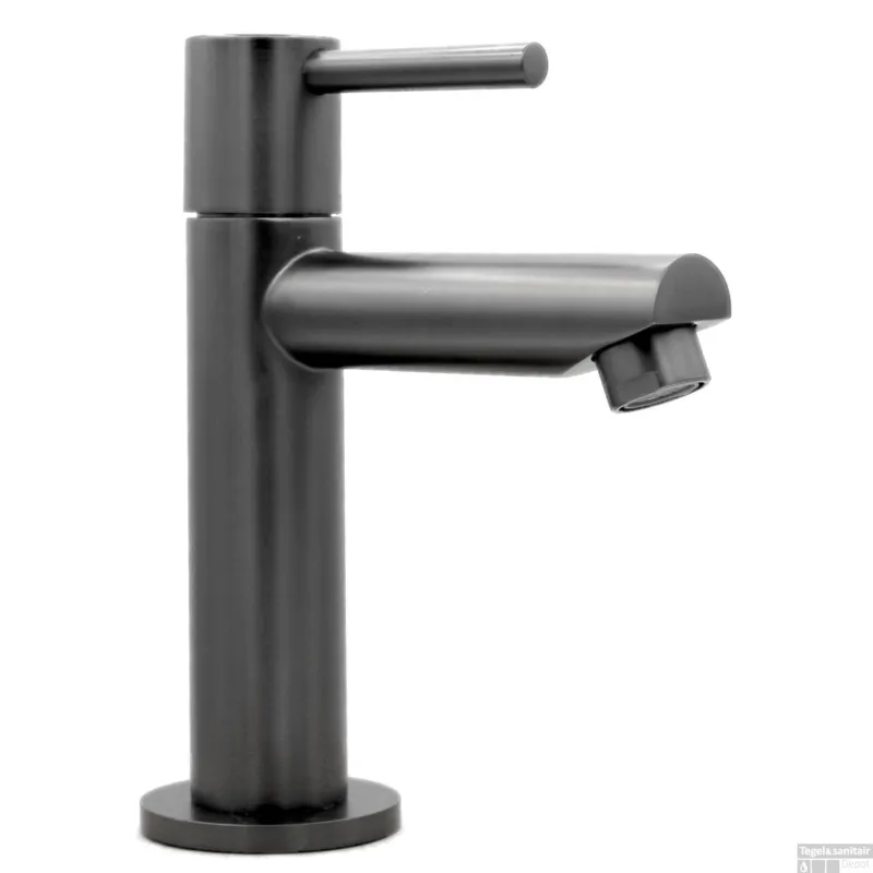 Toiletkraan Best Design Moya Uitloop Recht 14 cm 1-hendel Gunmetal Merkproduct