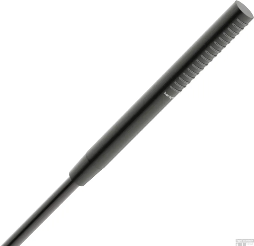 Beperkte Voorraad Hansgrohe Pulsify S staafhanddouche 100 1jet EcoSmart, Brushed Black Chrome