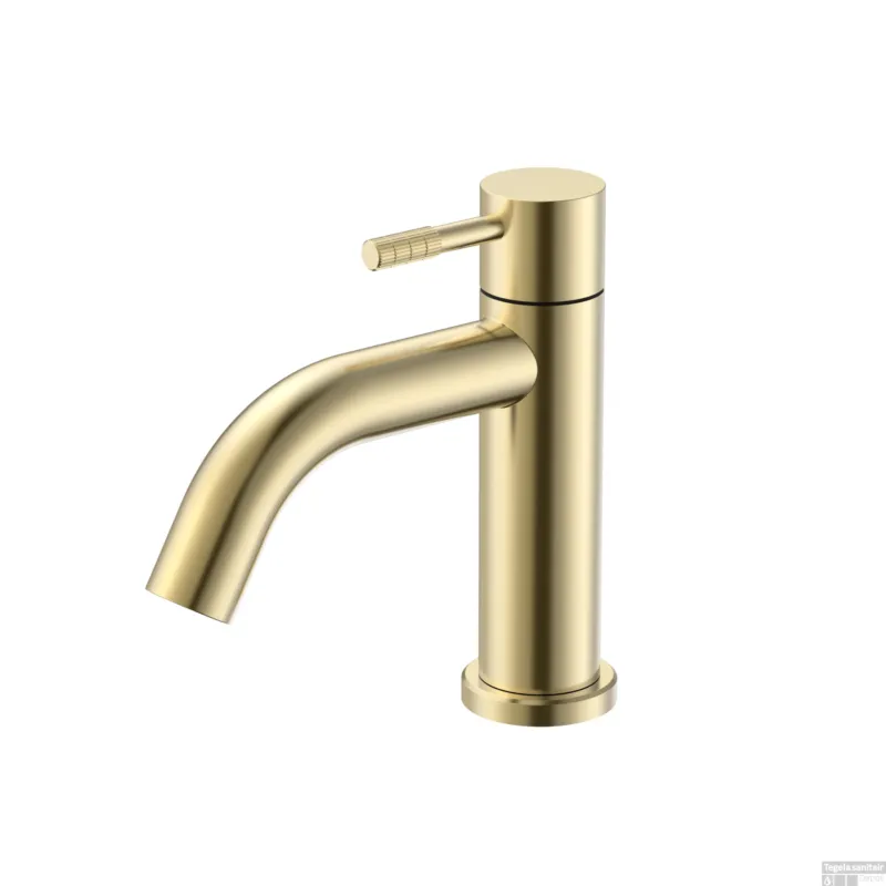 Superprijs Fonteinkraan BWS Sensa Hendel Geborsteld Goud PVD
