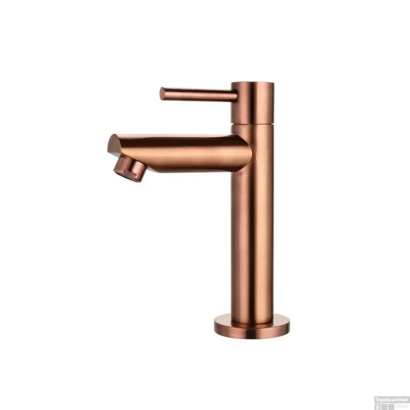 Direct Beschikbaar Fonteinkraan Sanilux 15,5x8,8 cm Brons Geborsteld