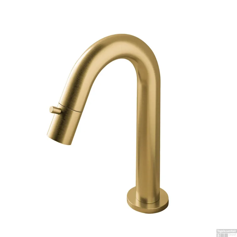 Fonteinkraan Hotbath Dude 1-knop gebogen 19.3 cm Rond Geborsteld Messing Living Colours Lage Kosten
