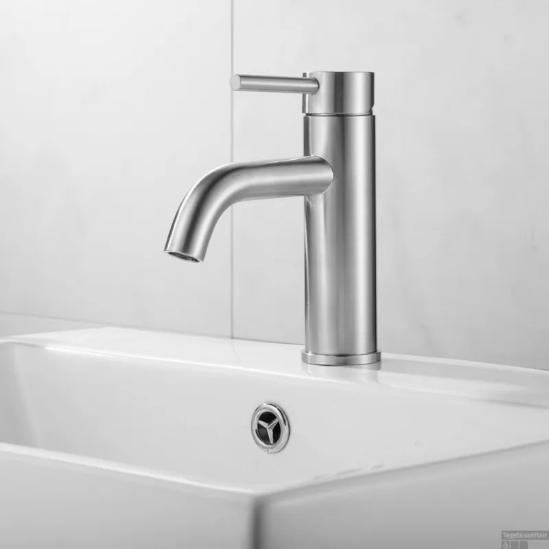 Wastafelkraan BWS Plus RVS Premium