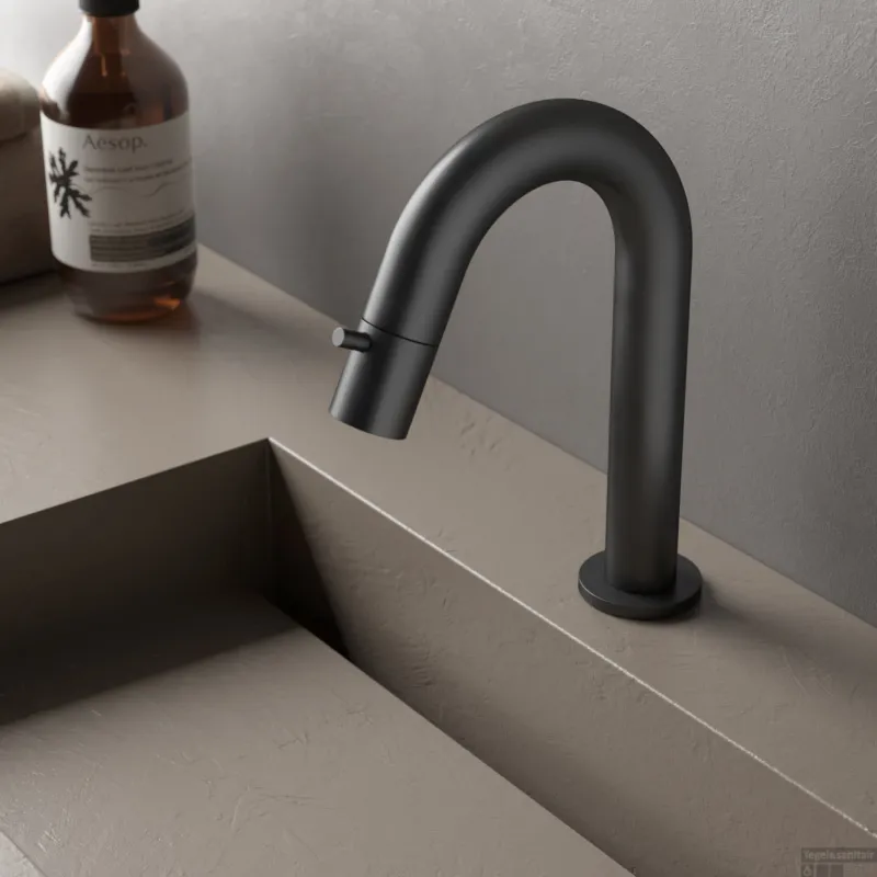 Favoriet Fonteinkraan Hotbath Dude 1-knop gebogen 19.3 cm Rond Mat Zwart