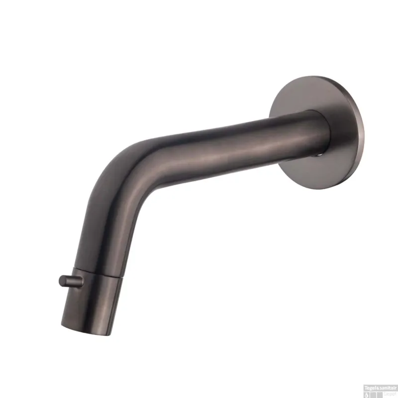 Populair Fonteinkraan Inbouw BWS Toiletkraan Verstelbaar Gunmetal
