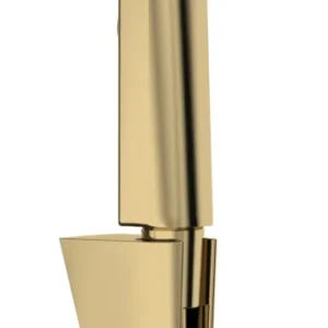Hansgrohe bidethanddouche 1jet EcoSmart met Porter S douchehouder en doucheslang 125 cm, Polished Gold-Optic Korting
