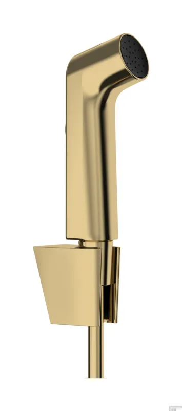Hansgrohe bidethanddouche 1jet EcoSmart met Porter S douchehouder en doucheslang 125 cm, Polished Gold-Optic Korting