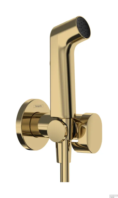 Hansgrohe bidethanddouche 1jet EcoSmart voor warm water met douchehouder en doucheslang 125 cm, Polished Gold-Optic Flitsaanbieding
