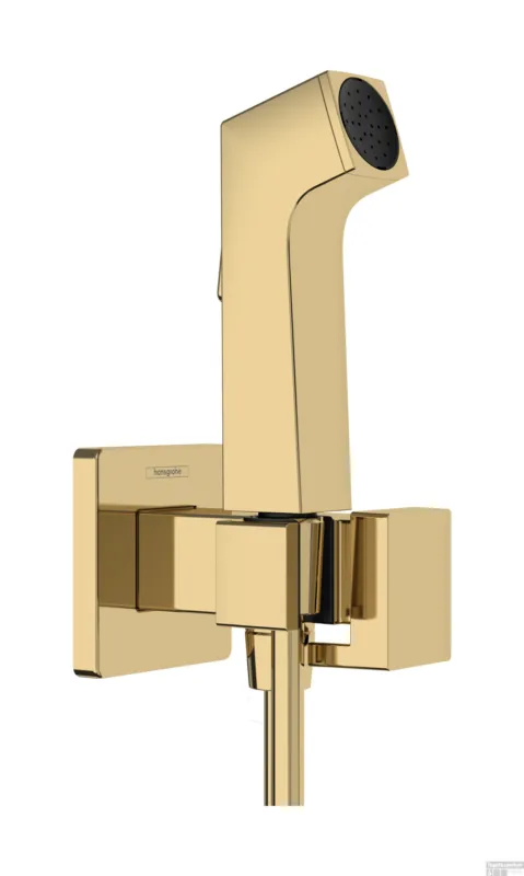 Lage Prijs Hansgrohe bidethanddouche 1jet E EcoSmart voor koud water met douchehouder en doucheslang 125 cm, Polished Gold-Optic