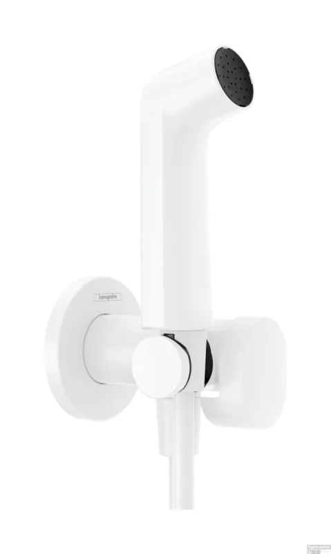 Tijdelijk Beschikbaar Hansgrohe bidethanddouche 1jet EcoSmart voor warm water met douchehouder en doucheslang 125 cm, mat wit