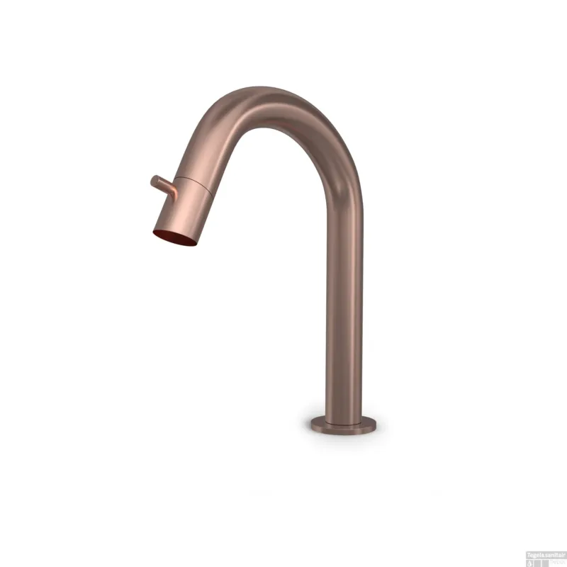 Direct Beschikbaar Fonteinkraan Hotbath Cobber 1-knop gebogen 19.3 cm Rond Geborsteld Koper PVD