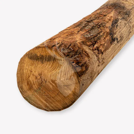 Actieprijs PEFC Kastanjepaal | geschild | ongep. | Ø20-25 cm | 250 cm