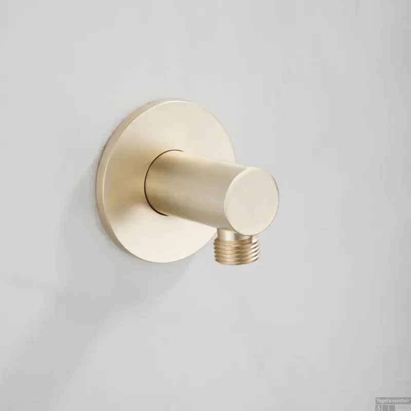 Nieuw Doucheaansluiting Wand BWS Plus Mat Goud