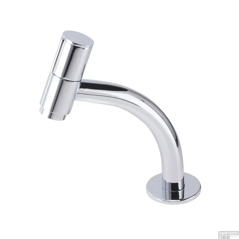 Voordeelprijs BWS Toiletkraan Zeta Rond Topbediening 18x10x5 cm Chroom