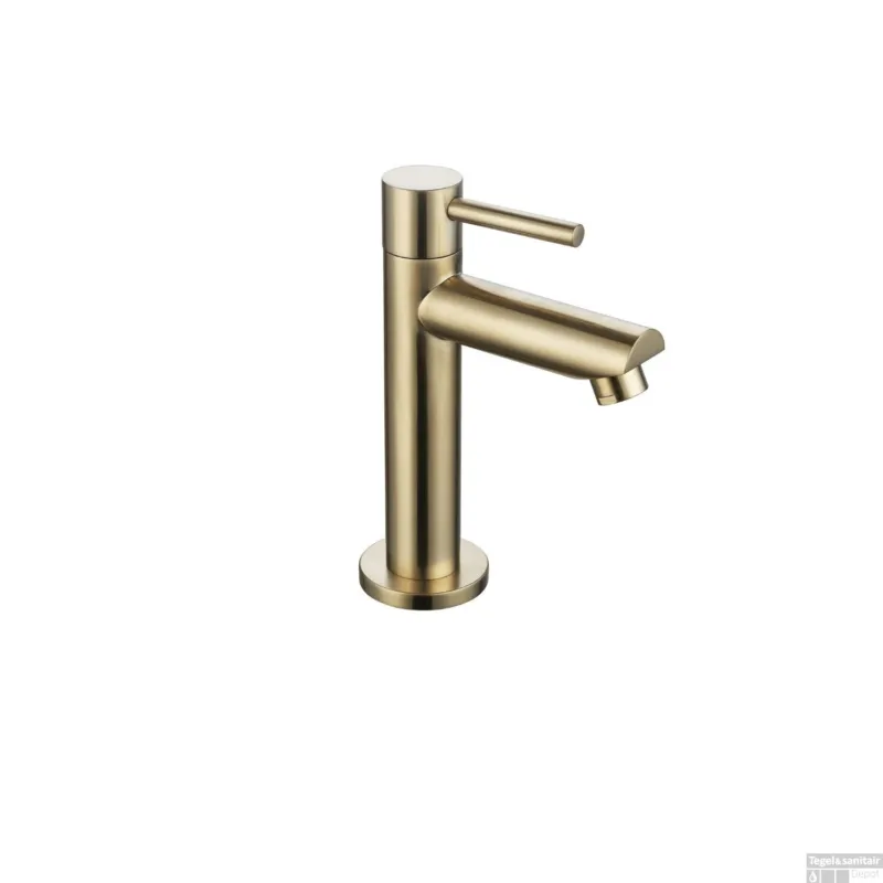 Flitsaanbieding Fonteinkraan Sanilux 15,5 cm Goud