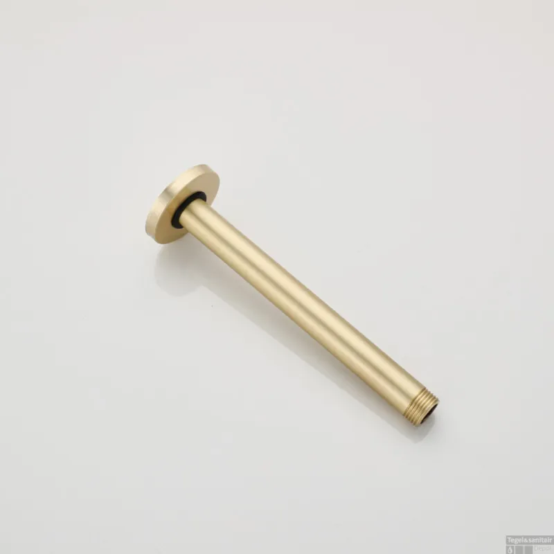 Koopje Plafonduitloop BWS Gold Geborsteld Messing Mat Goud 20 cm