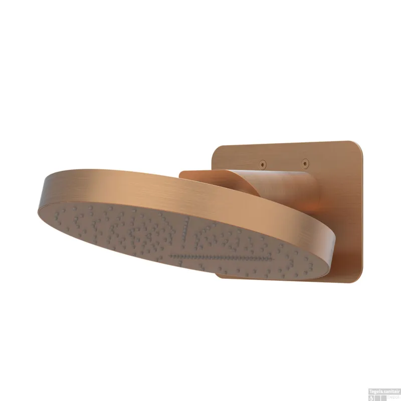 Nu Kopen Hoofddouche IVY HALO Wandmodel Inc. Wandbeugel en Inbouwbox 32 cm Geborsteld Mat Koper PVD