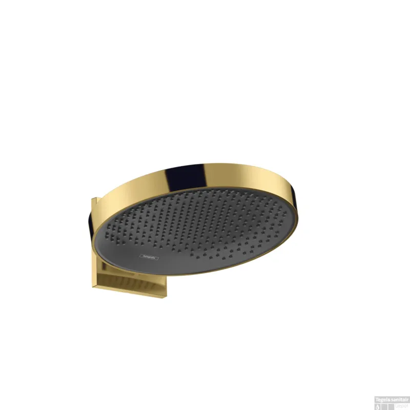 Alleen Vandaag Hoofddouche Rainfinity HansGrohe PowderRain 360 1jet Met Douche-arm Gepolijst Goud