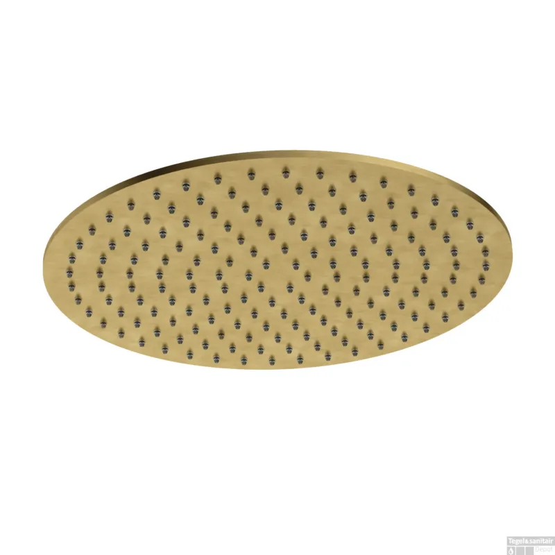 Hoofddouche Hotbath Archie 30 CM 8mm Geborsteld Messing PVD Snelle Levering