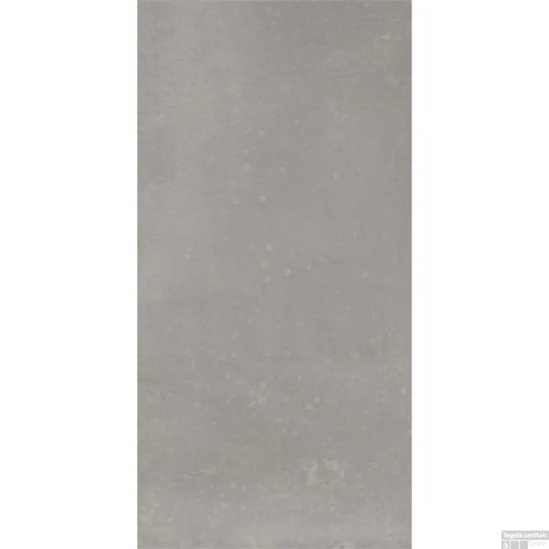 Weekendaanbieding Vloer en Wandtegel Douglas & Jones Metals Steel Nat 30x60 cm (doosinhoud 1,44 m2)