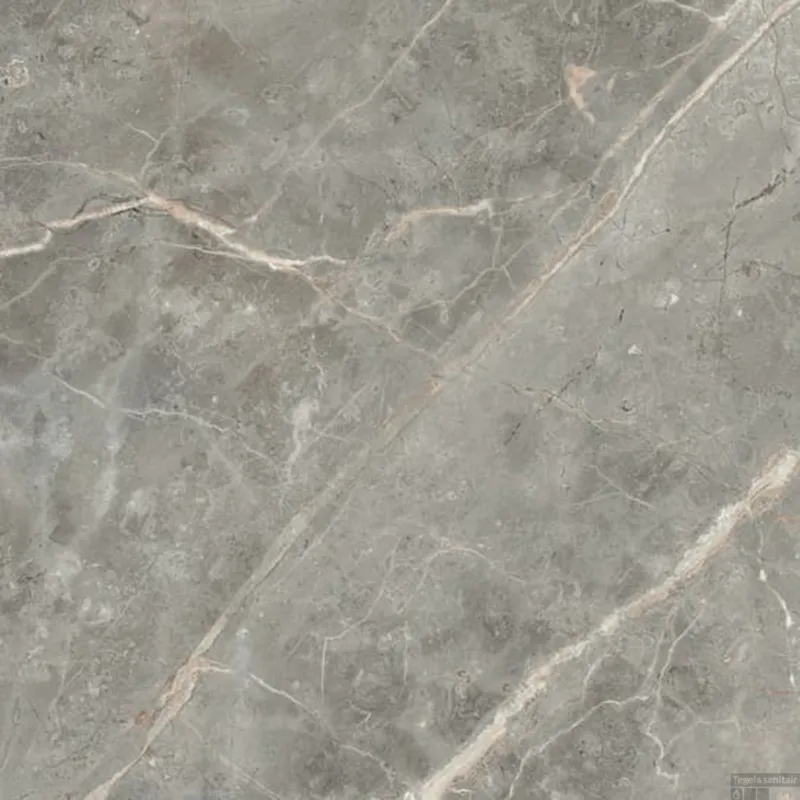 Vloertegel Douglas & Jones Magnum 60x60 cm Marmerlook Gerectificeerd 10 mm Geglazuurd Gris (doosinhoud 1.08m2) Fabrieksprijs