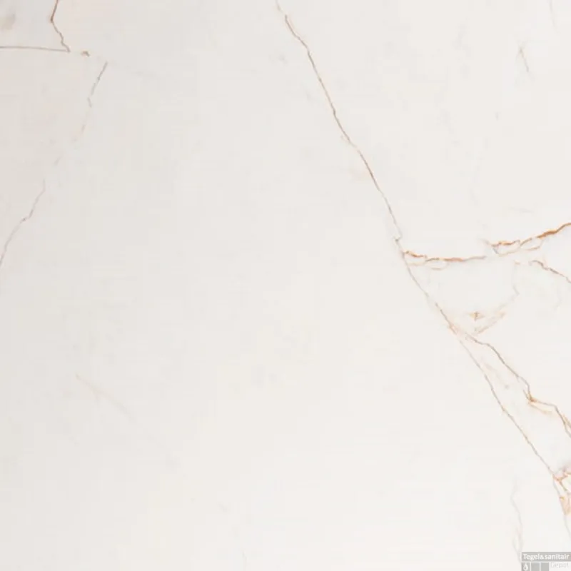 Beperkt Aanbod vtwonen Classic Vloertegel Caramel Glans Natuursteenlook 74x74 cm (doosinhoud 1,10 m2)