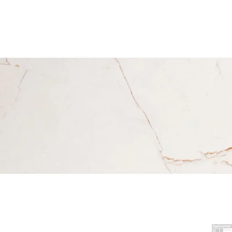 vtwonen Classic Vloertegel Caramel Glans Natuursteenlook 30x60 cm (doosinhoud 1,08 m2) Betaalbaar