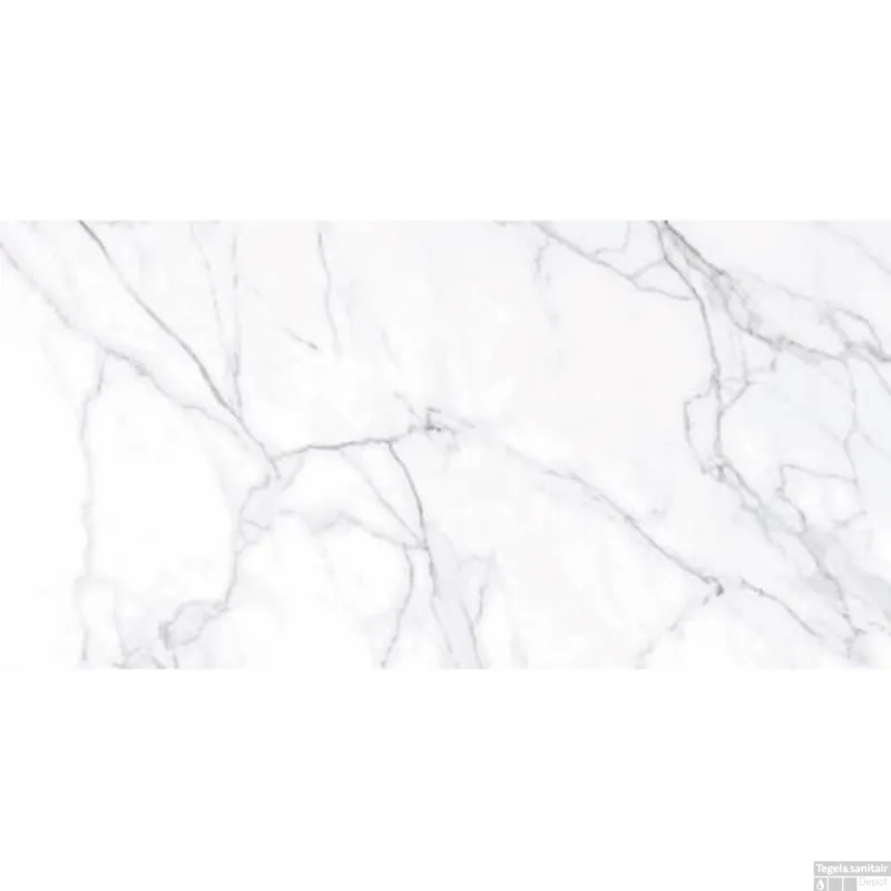 Koop Vandaag Vloertegel Douglas & Jones Marbles 60x120 cm Glans Lincoln White (Doosinhoud 1.44m2)
