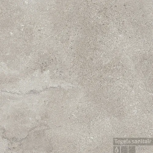 Vloertegel vtwonen Tegels Portland 60x60 cm 9 mm Gris Mat (doosinhoud 1.80 m2) Nu Kopen