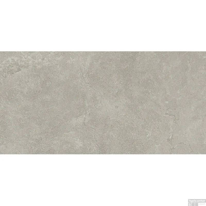Lage Prijs Vloertegel Piet Boon Coast 60x120 cm 9 mm R10 Mat Cenere (doosinhoud 1.44 m2)