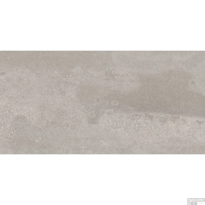 Vloer-en Wandtegel vtwonen Raw 60x120 cm Grijs (Doosinhoud 1.44 m2) Must-Have