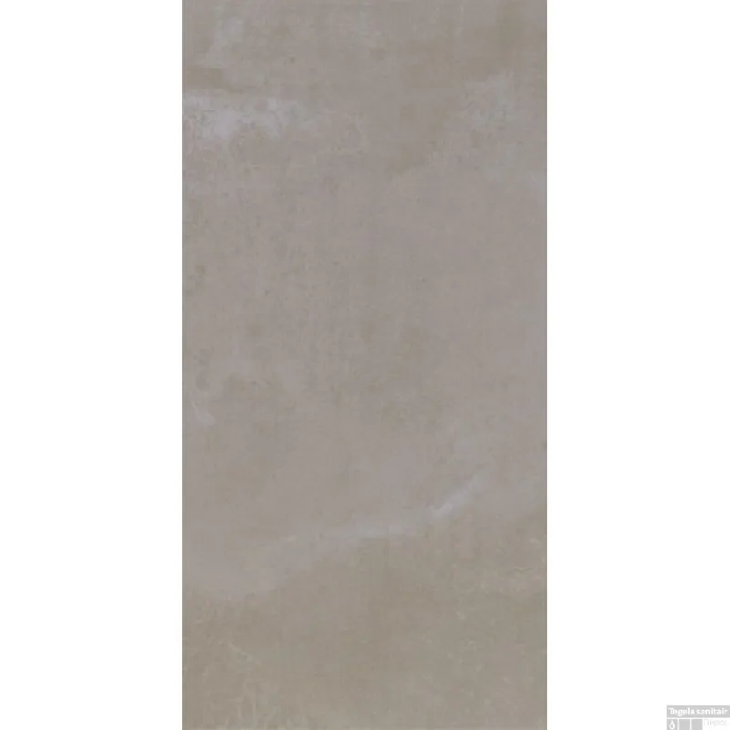 Douglas & Jones Vloer en Wandtegel Metals Plate Nat 60x120 cm (doosinhoud 1,44 m2) Meest Verkocht