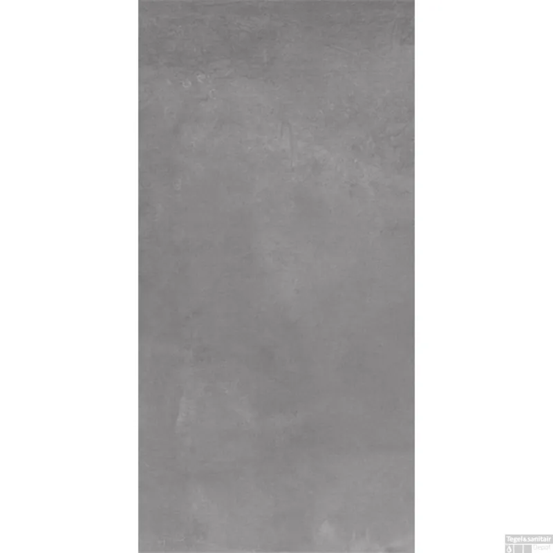 Douglas & Jones Vloer en Wandtegel Metals Zinc Nat 60x120 cm (doosinhoud 1,44 m2) Beste Prijs