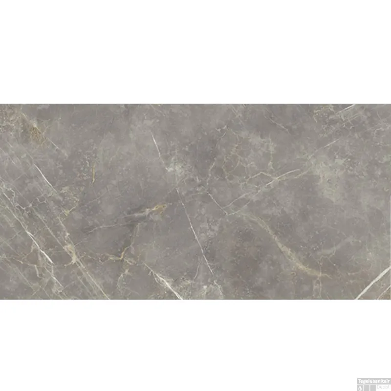 Betrouwbaar vtwonen Vloer en Wandtegel Classic Grey Mat 74x148 cm (Doosinhoud 1.10 m2)