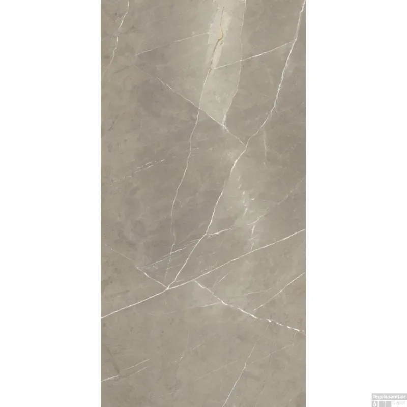Vloertegel Energieker Pietragrey Glans 60X120 cm Taupe (Doosinhoud 1,44M2) Superprijs