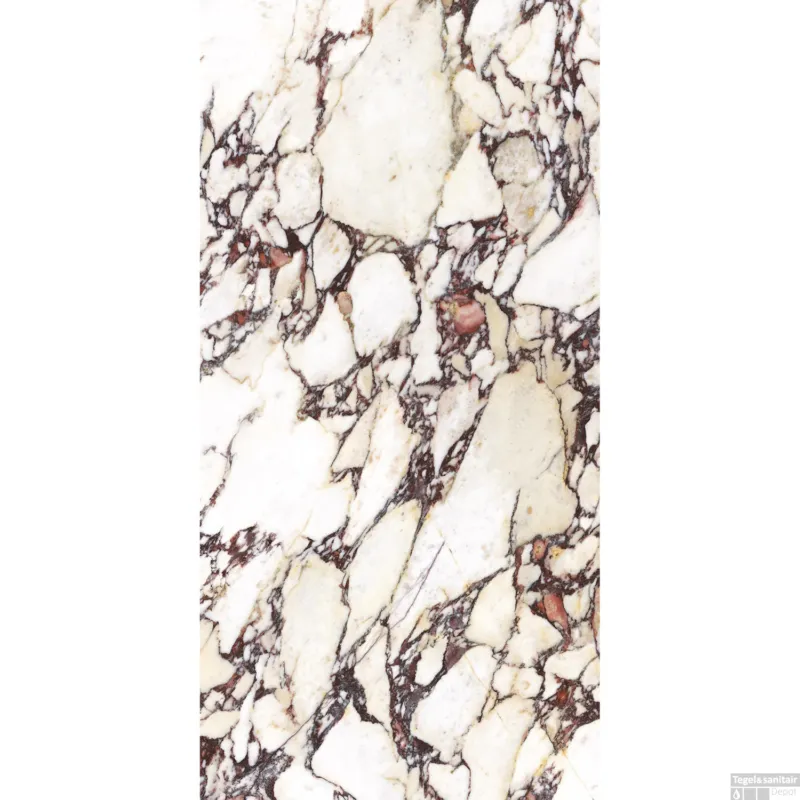Veilige Betaling Vloertegel Energieker Calacatta 60x120 cm Levigato Viola (Doosinhoud 1,44 m2)