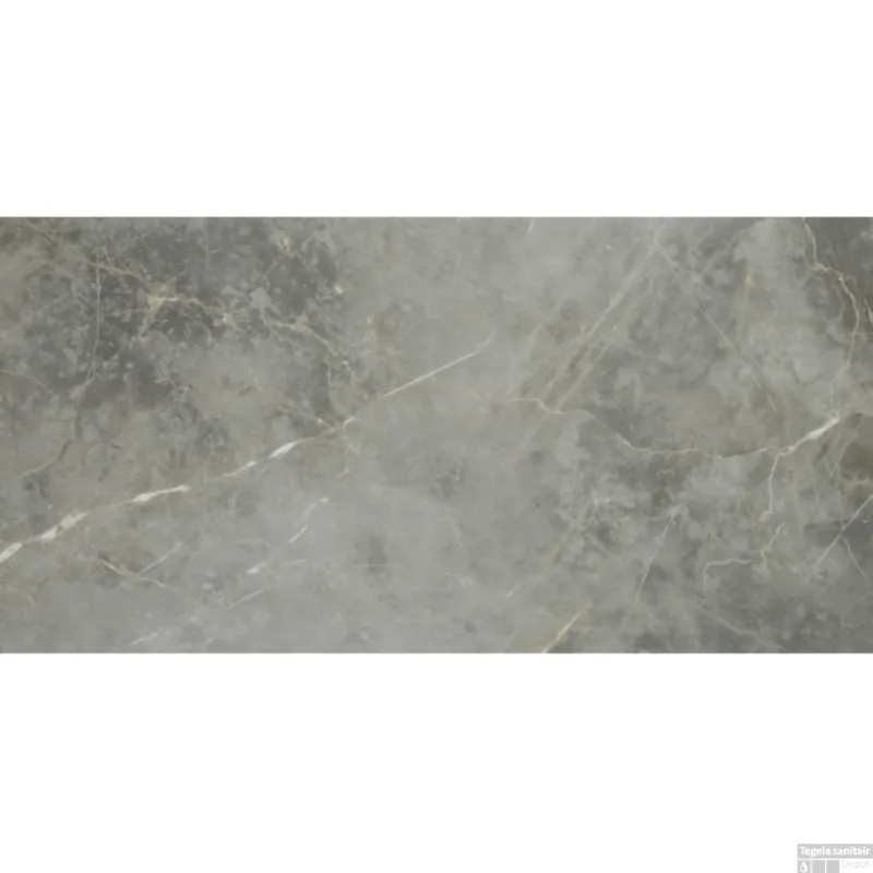 vtwonen Vloertegel Classic Grey Glans 74x148 cm (Doosinhoud 1.10 m2) Rechtstreeks Van De Fabrikant