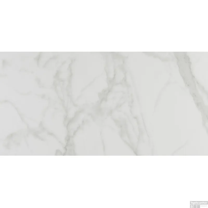Lage Kosten vtwonen Vloertegel Classic White Glans 74x148 cm (Doosinhoud 1.10 m2)