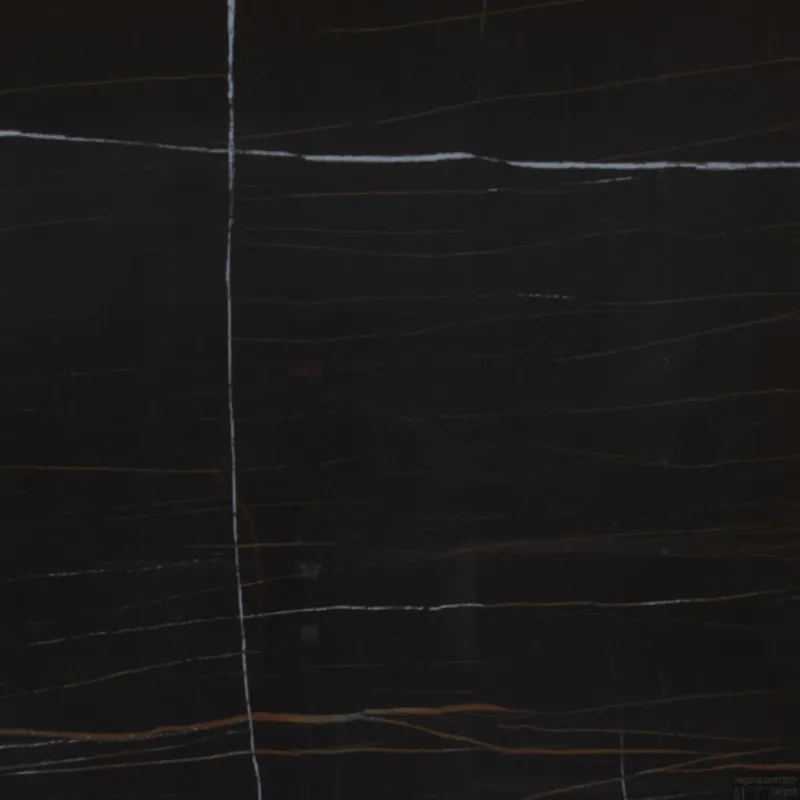 Italgraniti Vloertegel Marble Expe Sahara Noir Glans 60x60 Zwart (Doosinhoud 1.44 m2) Nu Kopen